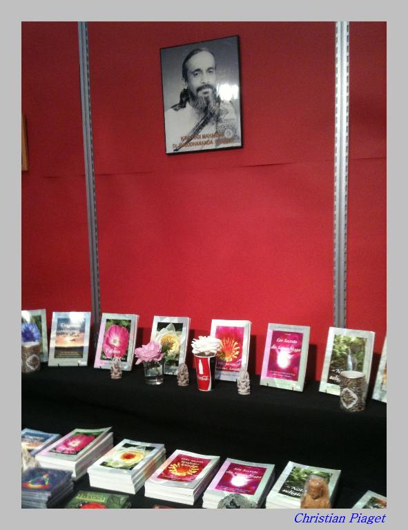 Salon du livre 2011