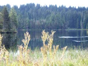 Etang de la Gru�re