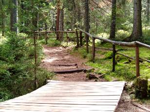 Etang de la Gru�re