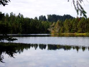 Etang de la Gru�re