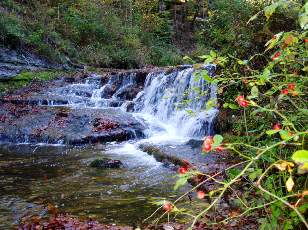 Vall�e du H�risson