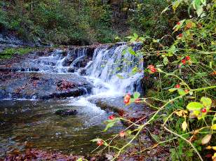 Vall�e du H�risson