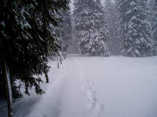 Temp�te sur le Jura