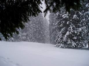 Temp�te sur le Jura