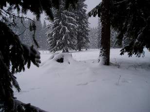 Temp�te sur le Jura