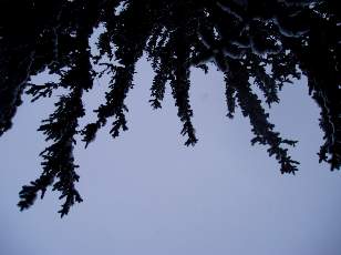 Temp�te sur le Jura