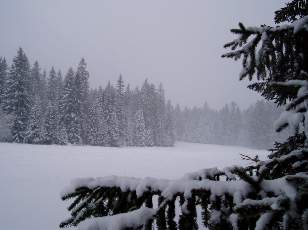 Temp�te sur le Jura