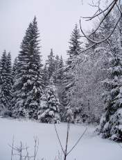 Temp�te sur le Jura