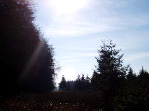 Lac et tourbi�res de Malpas, les pr�s Partot et le bief Belin