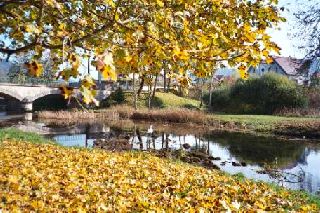 R�veries d'automne 