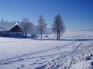 Le lac des Taill�res en hiver