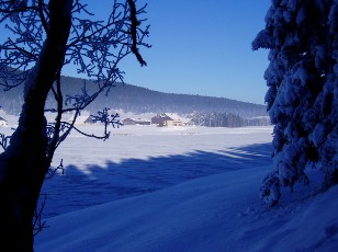 Le lac des Taill�res en hiver