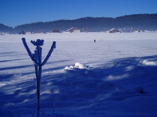 Le lac des Taill�res en hiver