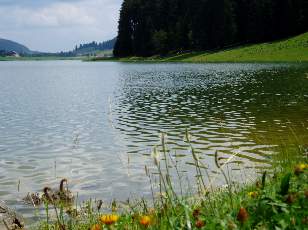 Le lac des Taill�res