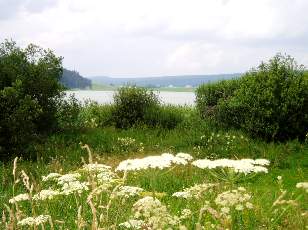 Le lac des Taill�res