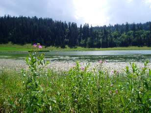 Le lac des Taill�res