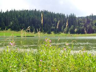 Le lac des Taill�res