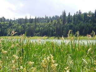 Le lac des Taill�res