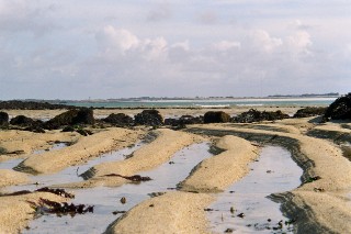 Calme avant la temp�te...