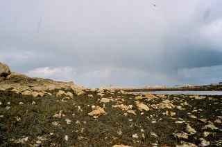 Calme avant la temp�te...