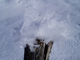 Beaut� et magie de la Nature jouant avec les �l�ments!