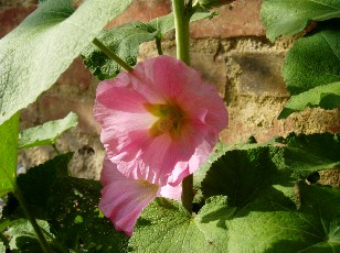 Magie et Beaut� de la Nature