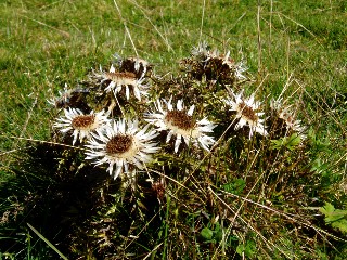 Couleurs d'automne dans le Jura Vaudois � L'Auberson 