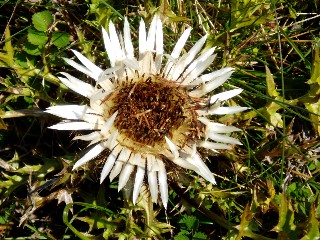 Couleurs d'automne dans le Jura Vaudois � L'Auberson 