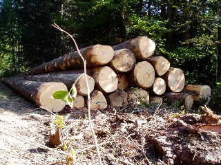 Couleurs d'automne dans le Jura Vaudois � L'Auberson 