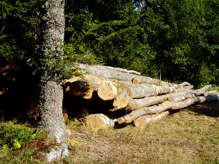 Couleurs d'automne dans le Jura Vaudois � L'Auberson 