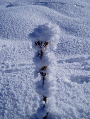 Beaut� de la Nature