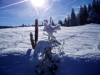 Beaut� de la Nature