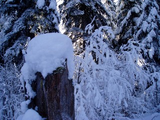 Beaut� de la Nature