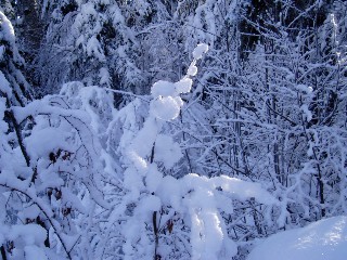 Beaut� de la Nature