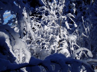 Beaut� de la Nature