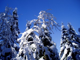 Beaut� de la Nature