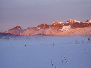 Beaut� de la Nature