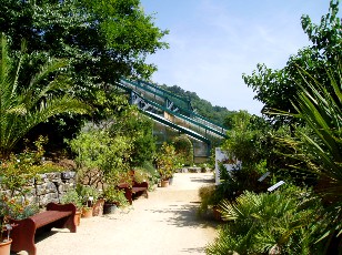 Jardin botanique au mois d'ao�t � Neuch�tel