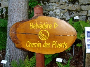 Jardin botanique au mois d'ao�t � Neuch�tel