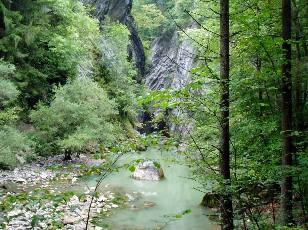 Les gorges de Jogne pr�s de Broc