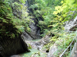 Les gorges de Jogne pr�s de Broc