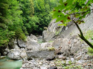 Les gorges de Jogne pr�s de Broc