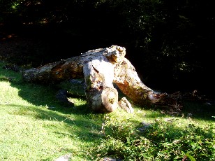 Mont�e au lac d'Ourrec