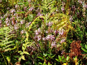 Mont�e au lac d'Ourrec