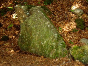 Magie et Beaut� de la Nature