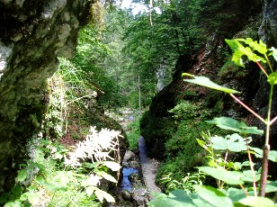Gorges de la Po�ta-Raisse