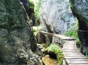 Gorges de la Po�ta-Raisse