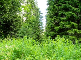 Gorges de la Po�ta-Raisse