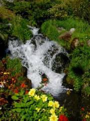 Magie et Beaut� de la Nature