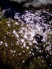 Magie et Beaut� de la Nature au Pont d'Espagne !